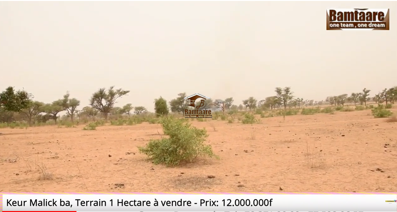 Accès au terrain