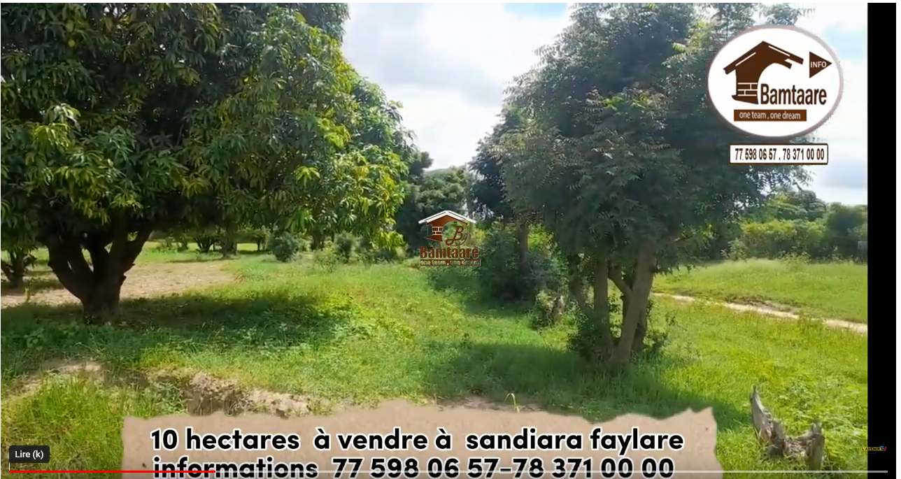 Délimitation du terrain