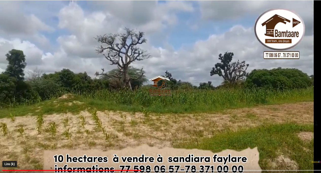Terrain à Sandiara
