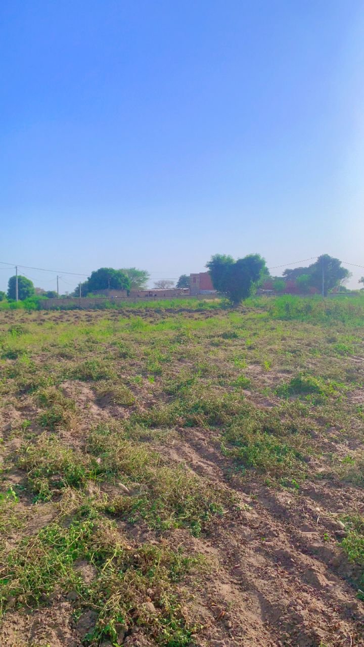 Terrain à Takhoum