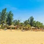 Acheter à Saly